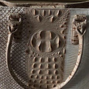 Brahmin Sahara Joan Tote